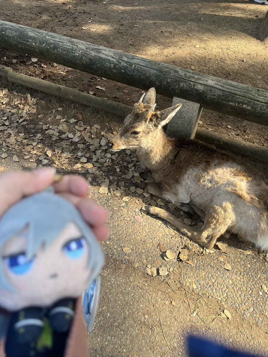 Silver Vanrouge tweet media