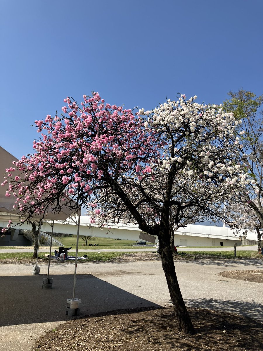 豊田スタジアム🏟 tweet media