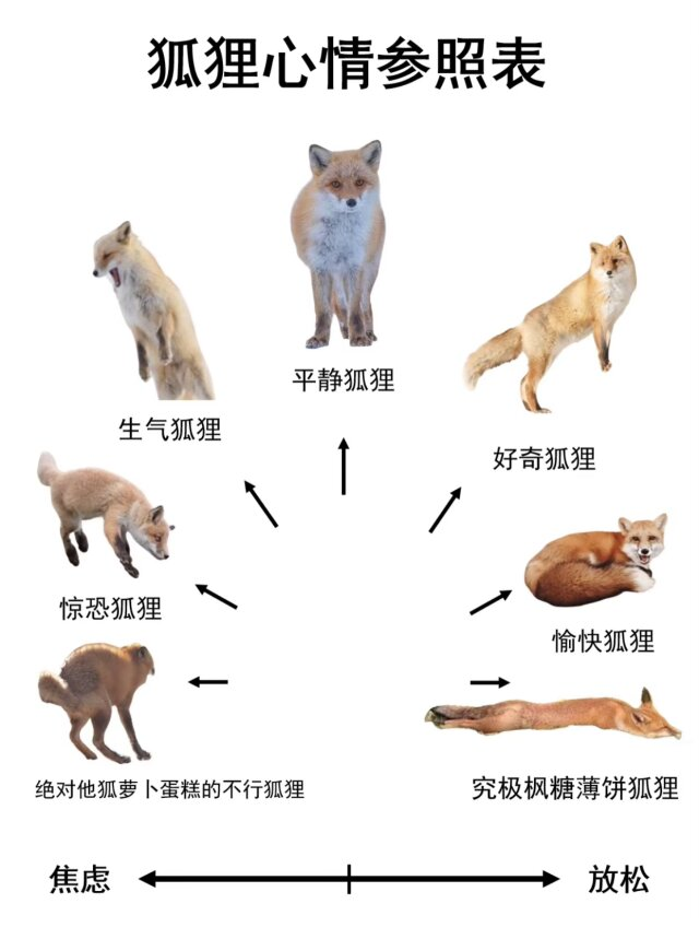 早露泡泡兔（四代目）寻回推油中 tweet media