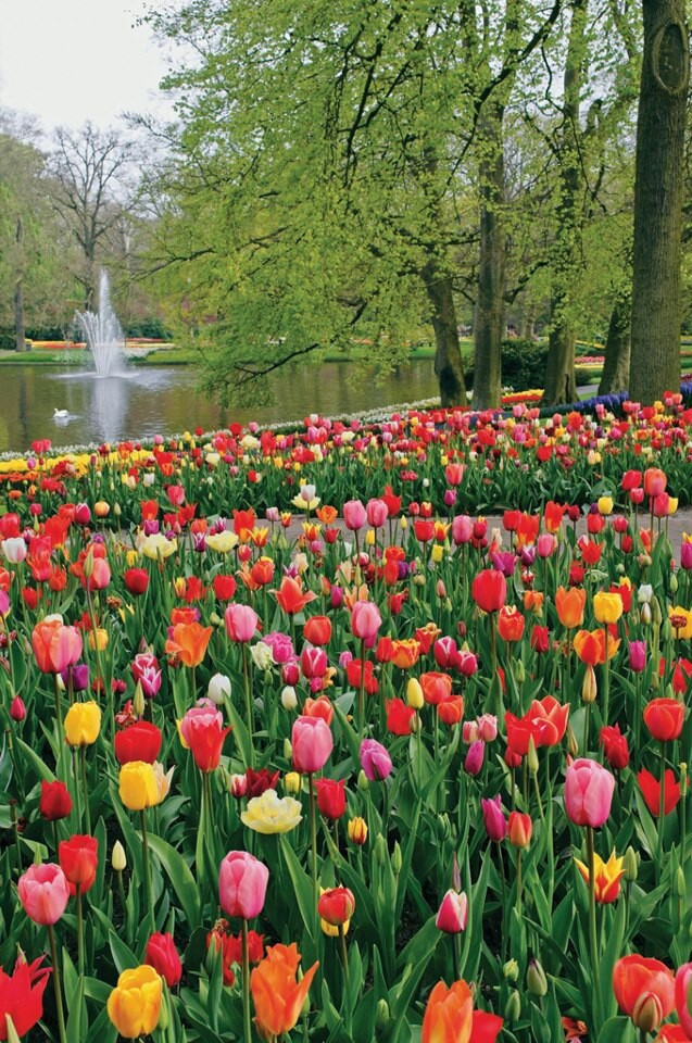 tutututututulip's tweet photo. https://t.co/GWfLi0dPNm