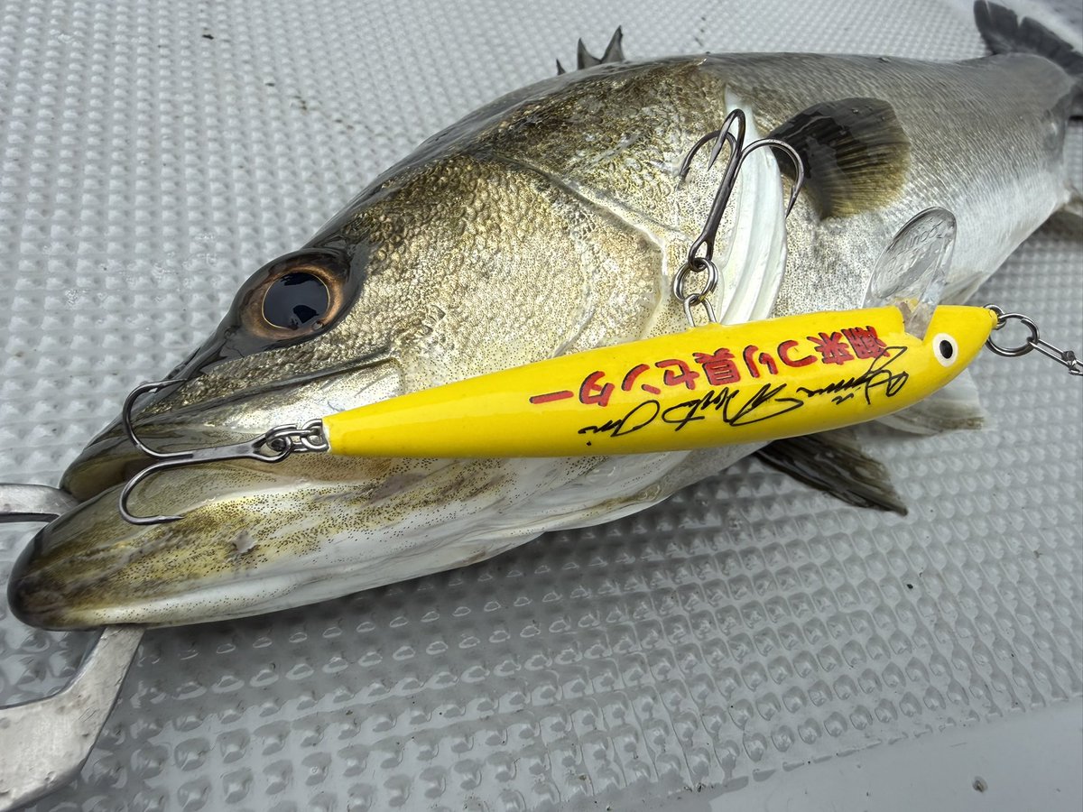 まいまい tweet media