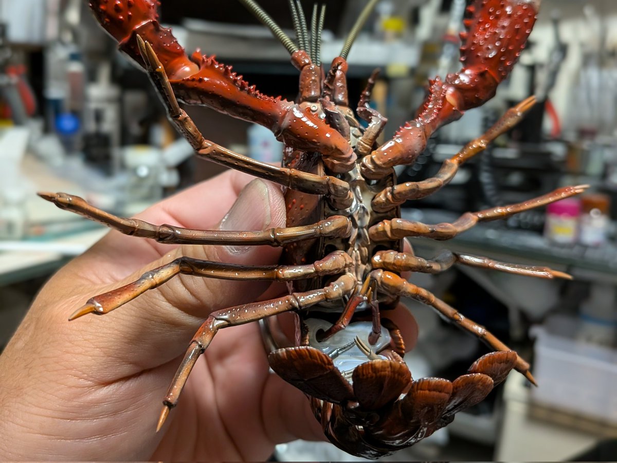 フジミ模型のザリガニ制作😆

#模型 #プラモデル #ザリガニ 
#アメリカザリガニ #フジミ #フジミ模型