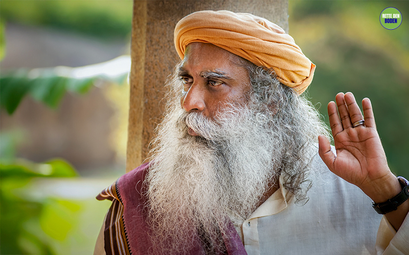 Bewusster_Planet tweet media