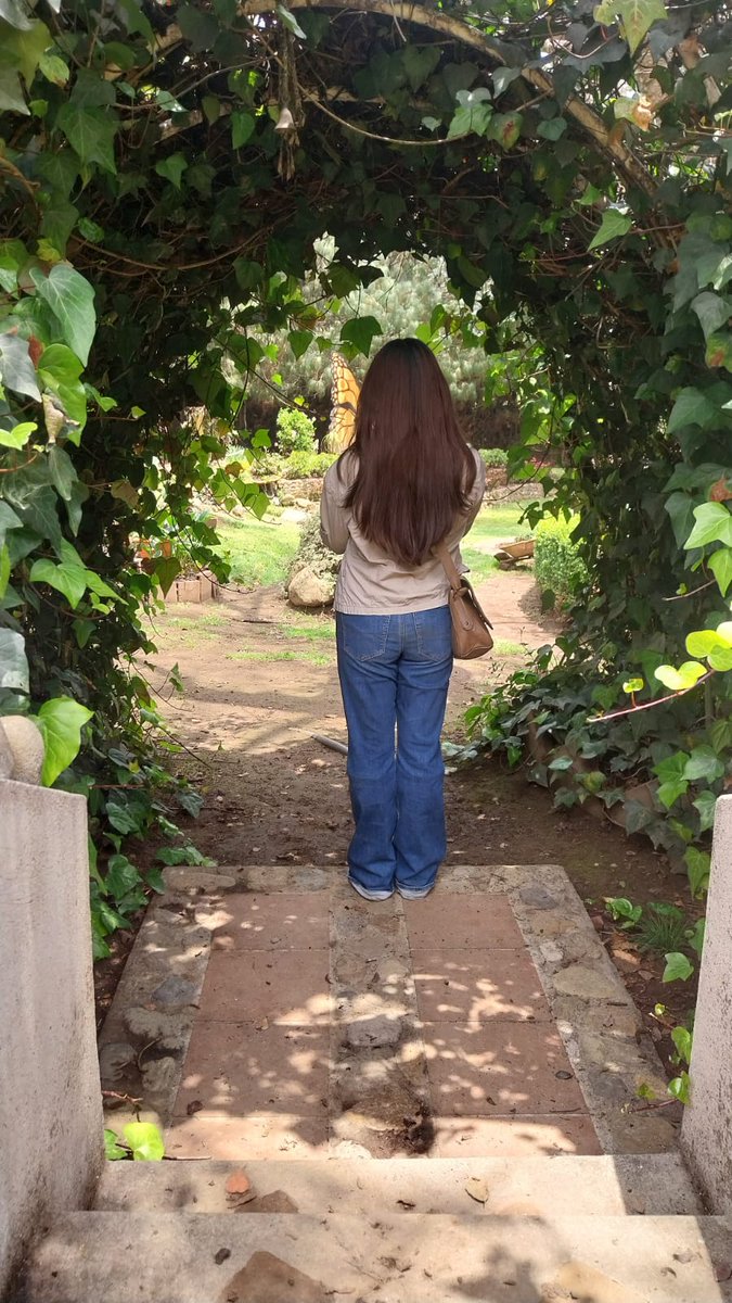 lilixche07's tweet photo. 🔅 https://t.co/AEIdAiB5aQ