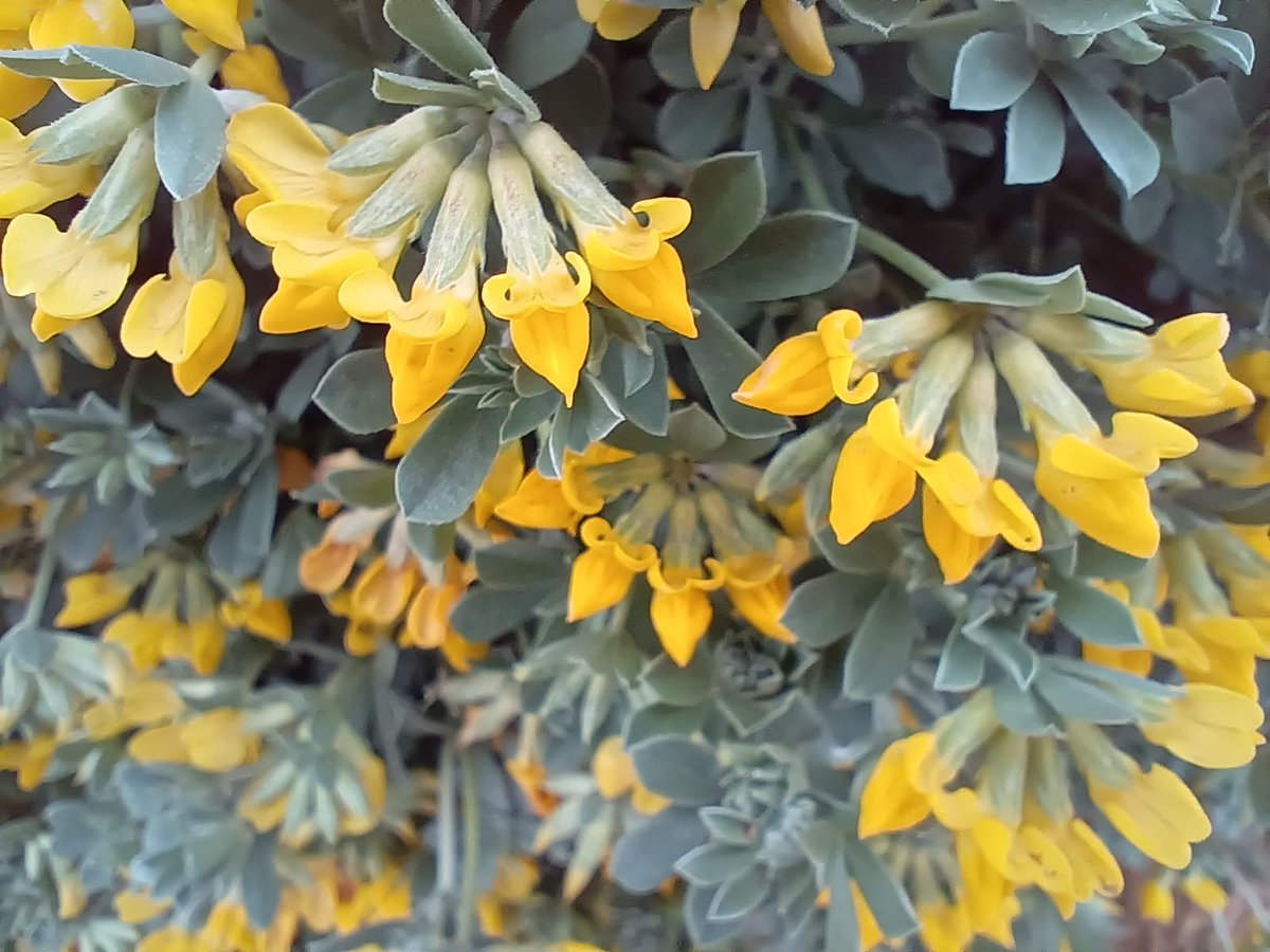 Arnau Cabeza Garrido tweet media