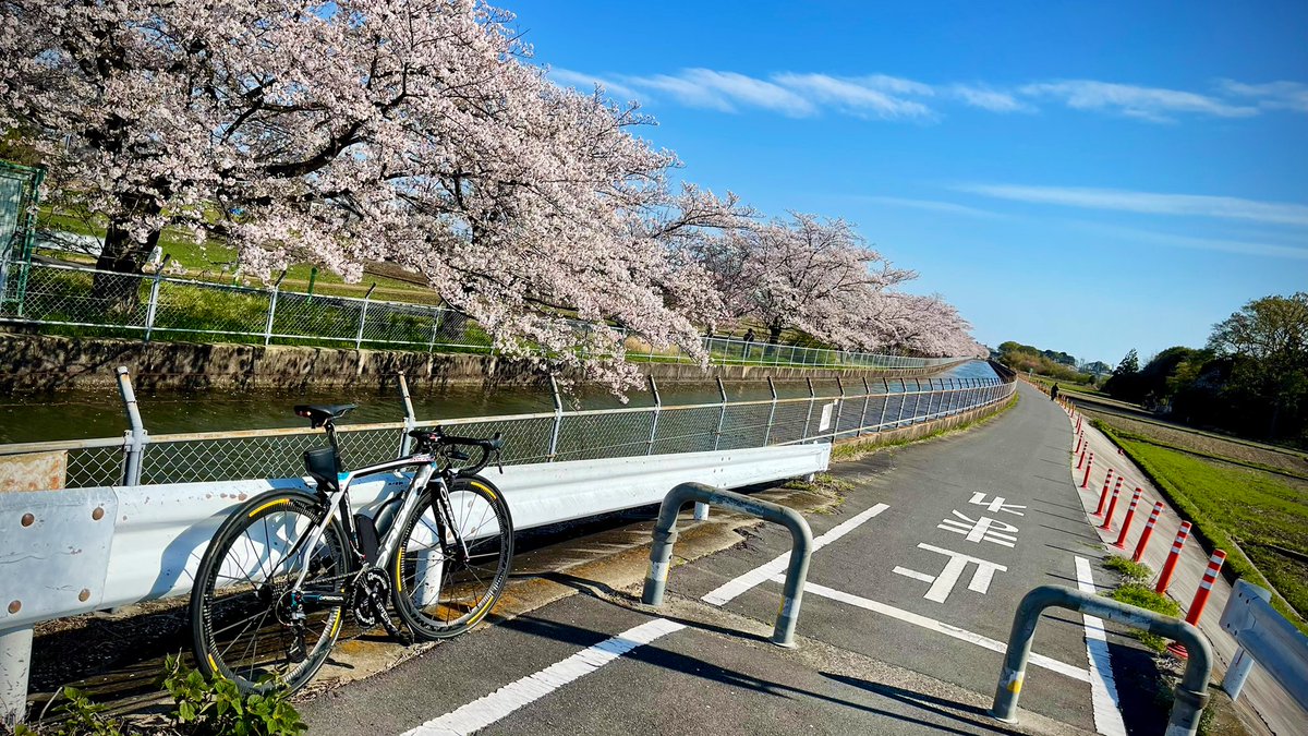 ｫﾑT=з宀 tweet media