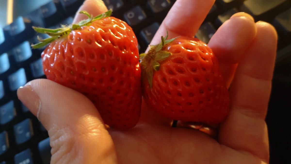 束子-tabako- tweet media