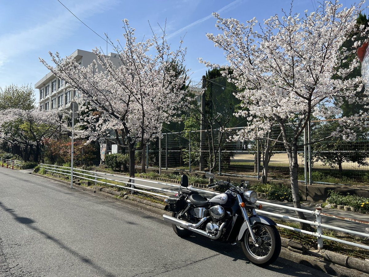 オオサワシンヤ tweet media