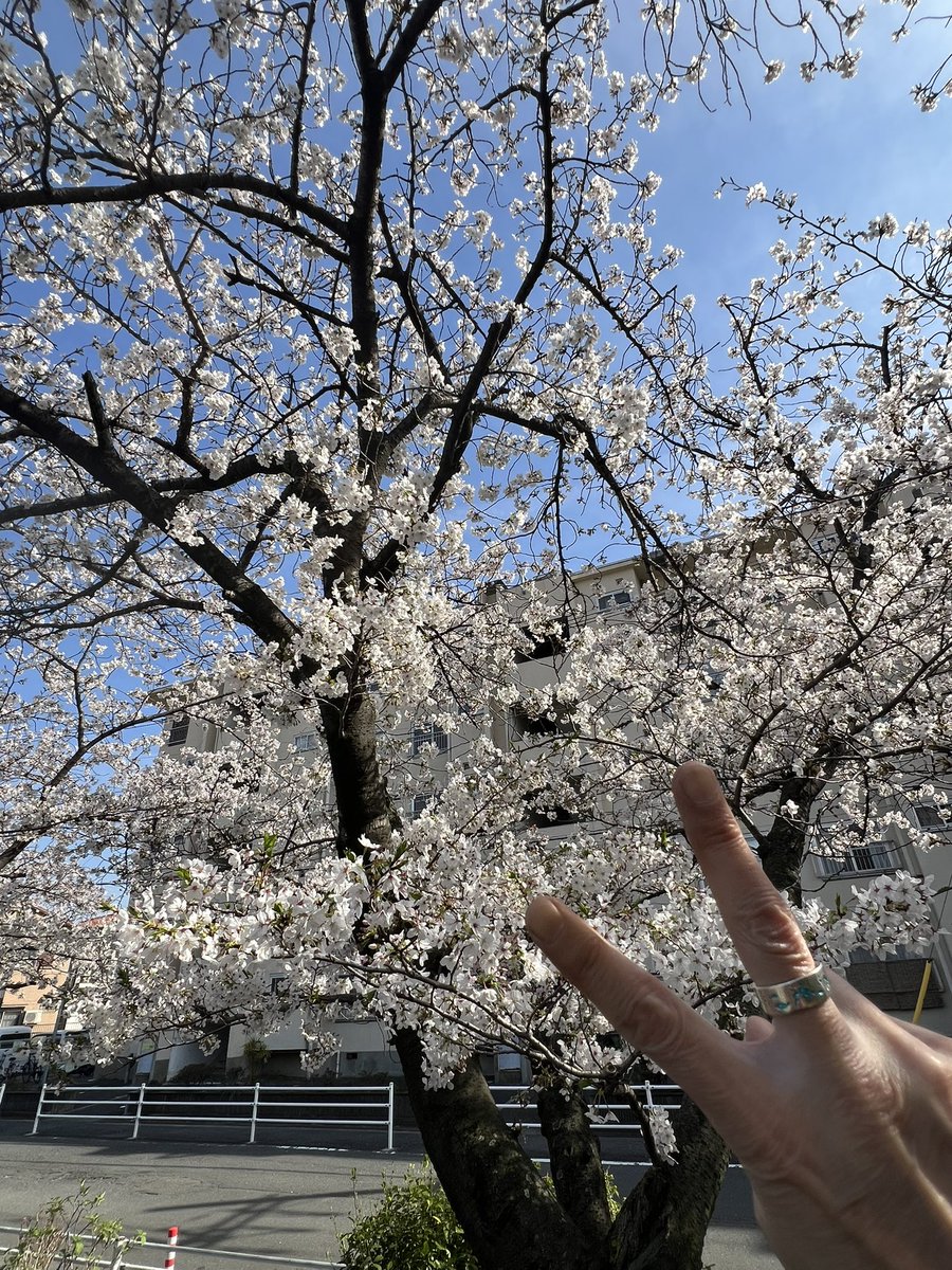 オオサワシンヤ tweet media