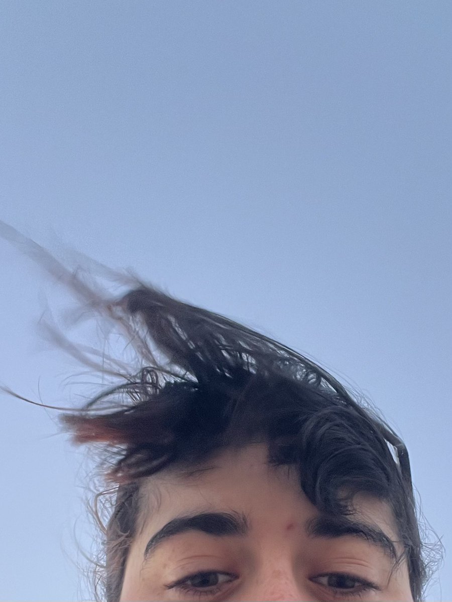 itzi ☀️ tweet media