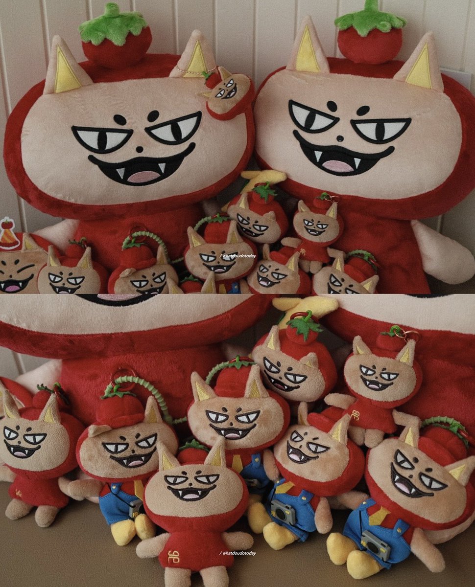 หมีน้ำขิง🫚 tweet media