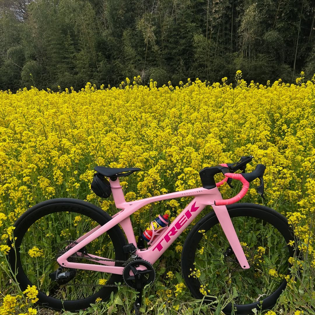 FZseeharod's tweet photo. 🌸春の日差しの中でサイクリング🚴‍♀️✨  
桜も菜の花も満開🌼🍃  
#ロードバイク
#ロードバイク初心者
#ロードバイク女子
#ロードバイク好きな人とつながりたい https://t.co/YxLV9CxIXJ