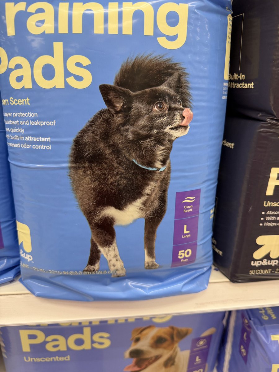 RSquared tweet media