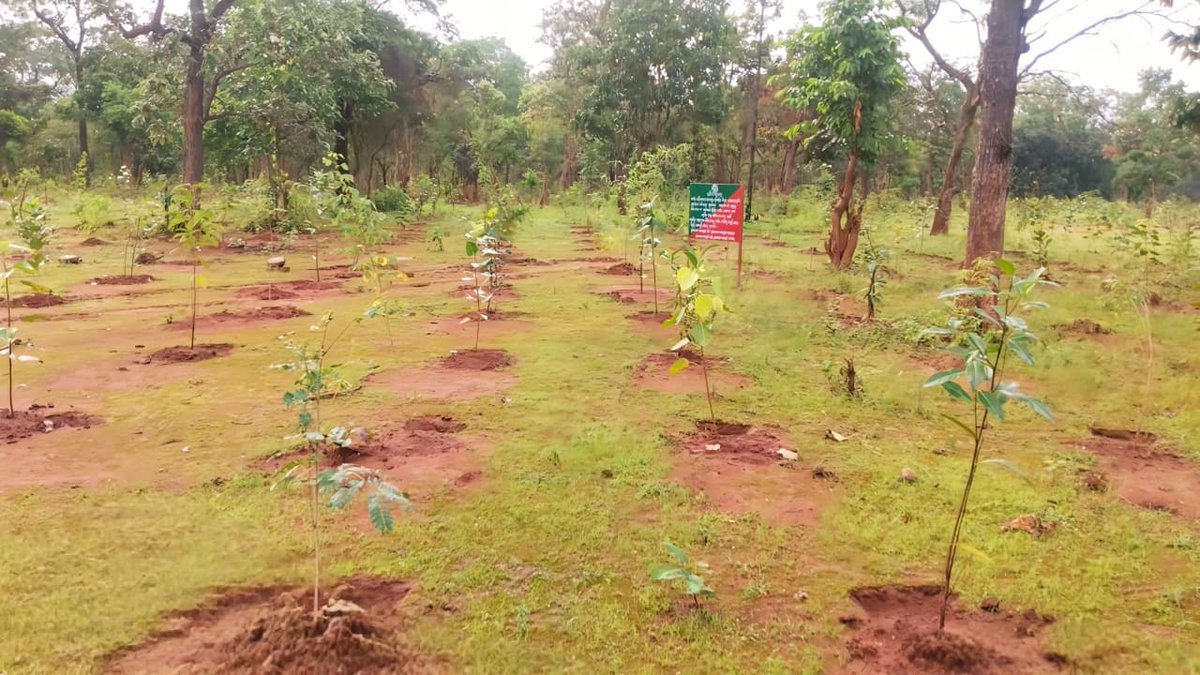 CAMPA ODISHA tweet media