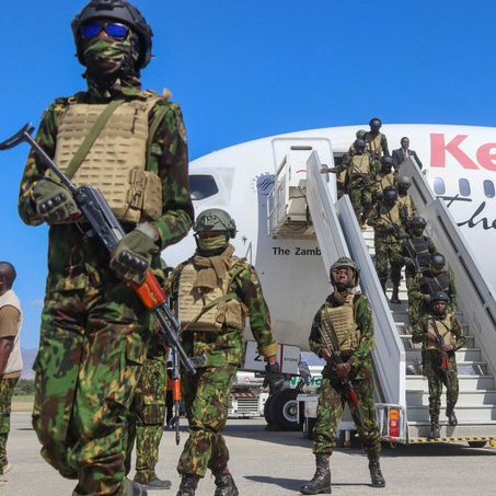 ✦✦✦ 𝙿𝚊𝚖𝚙𝚑𝚕𝚎𝚝𝚜 ✦✦✦ tweet media