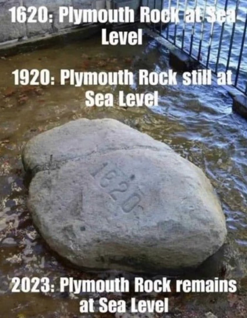 GnosisWolf tweet media