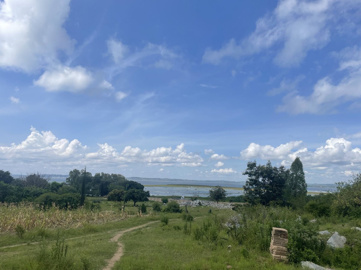 Lubasha Jr tweet media