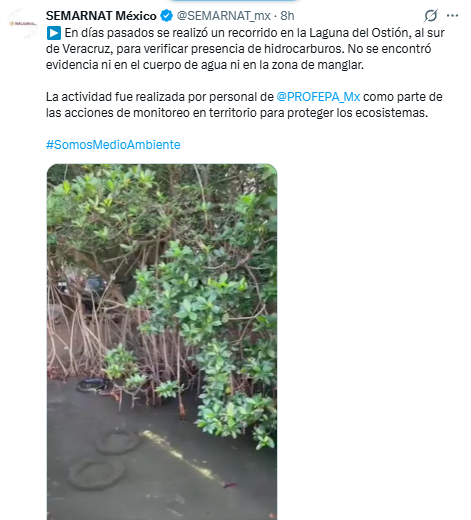 Lucía Hernández | Amo La Ciencia tweet media