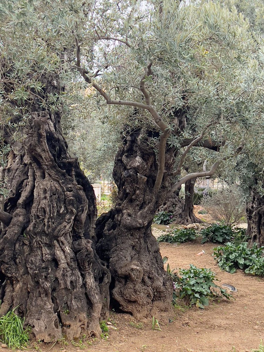 The Catholic Traveler tweet media