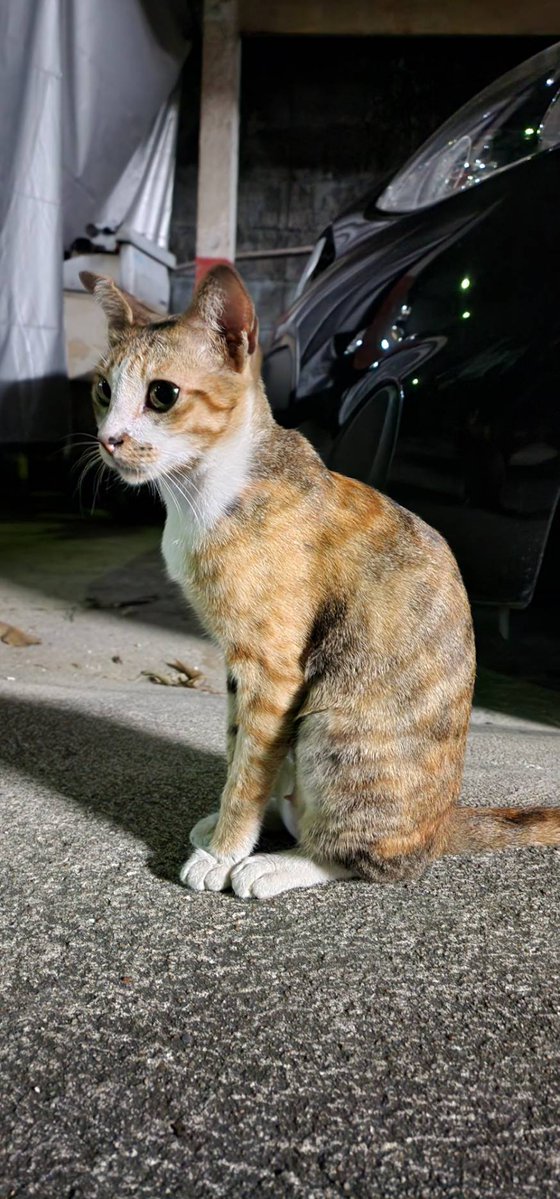 Moverine tweet media