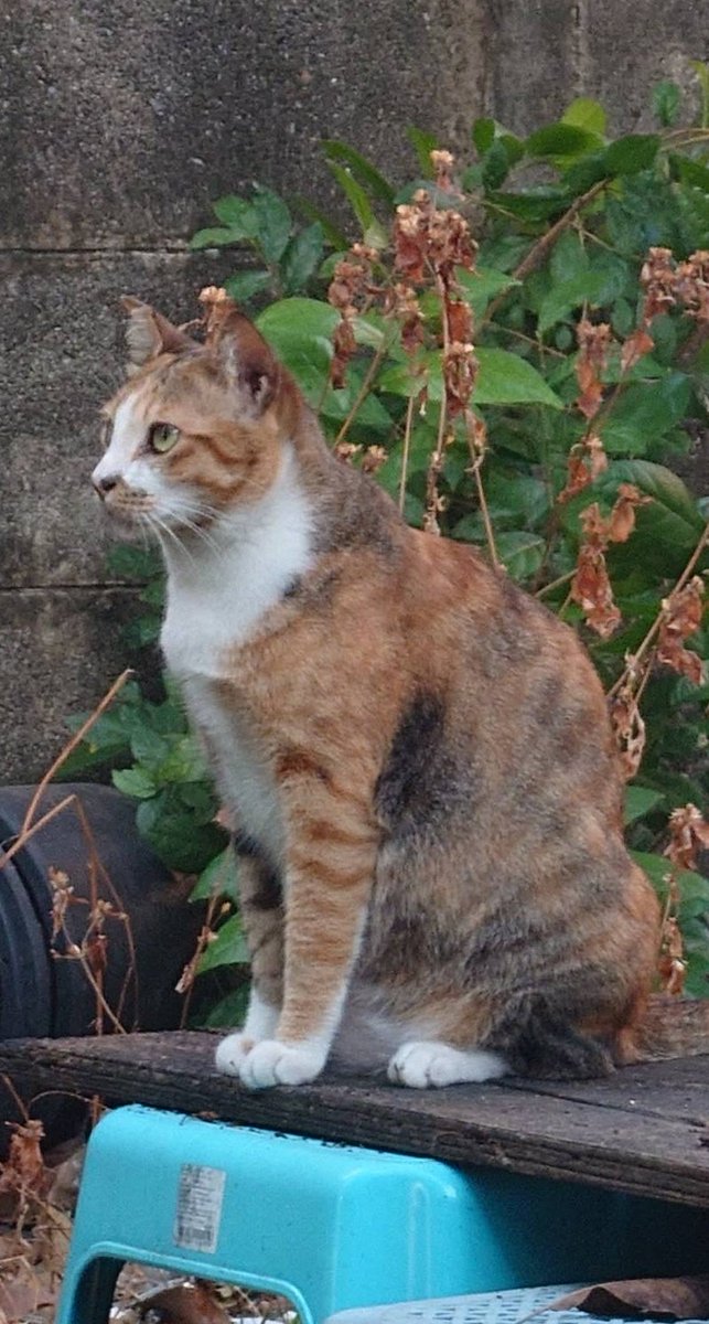 Moverine tweet media