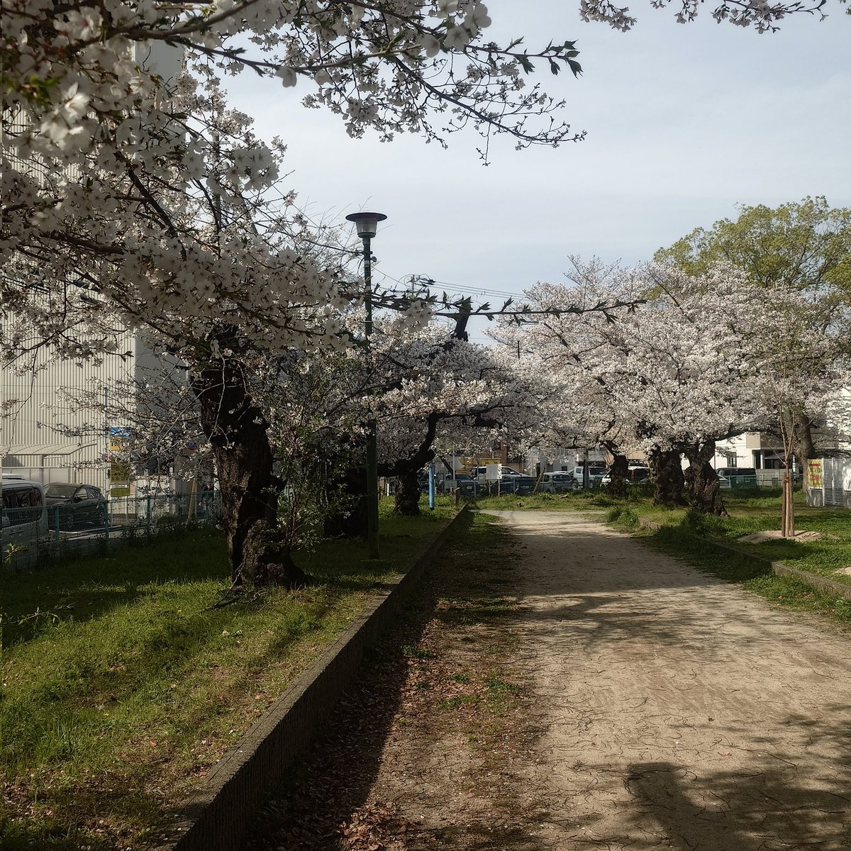 ma9@ぐでたま旦那 tweet media