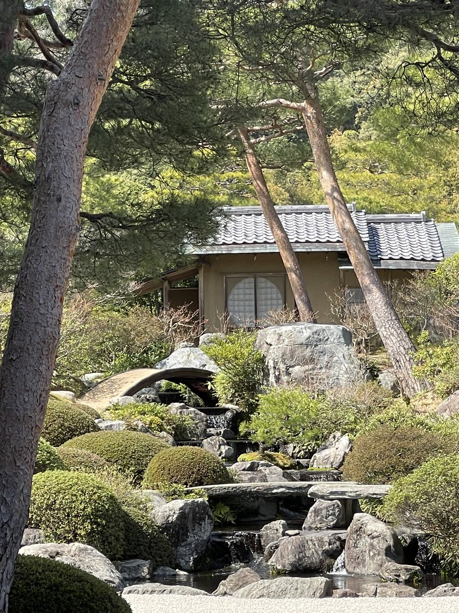 アメタク tweet media