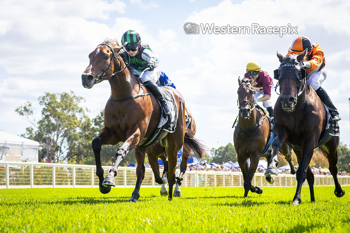 Western Racepix tweet media