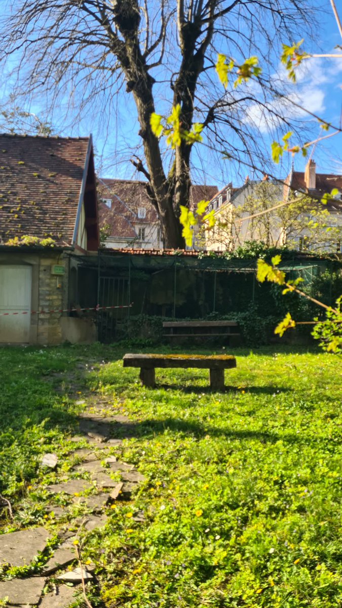 Mikaël Demenge tweet media