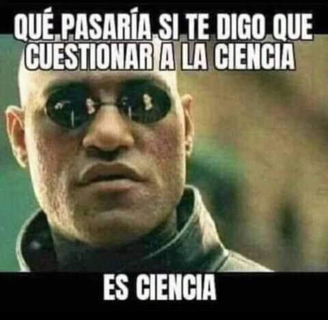 VidiARKANGEL tweet media