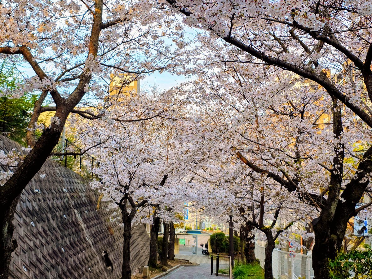 ゆかりん tweet media