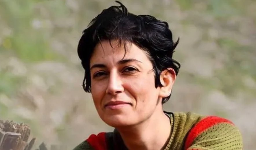 Peyman Haghighi tweet media