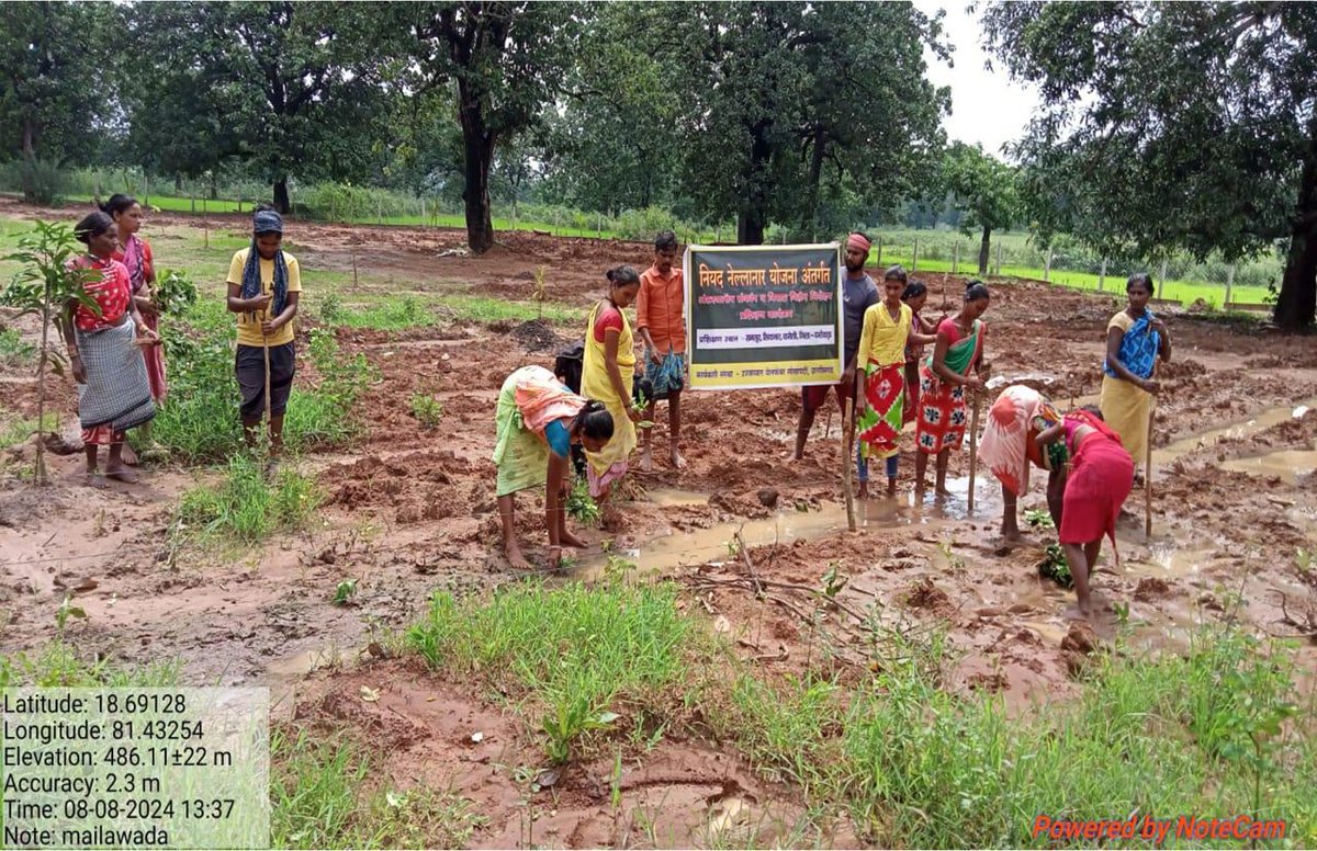 CG Forest & Climate Change Department tweet media
