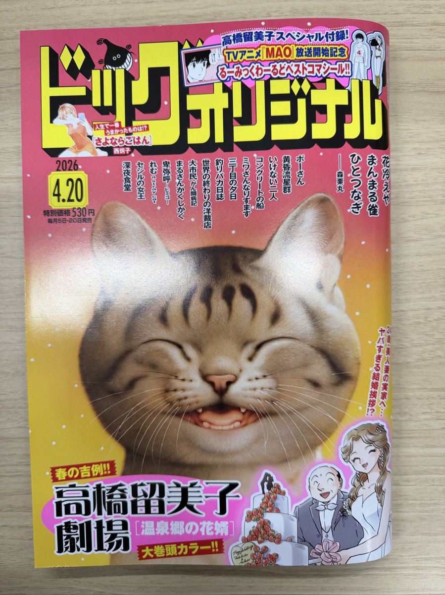 marusankaku1985's tweet photo. 【🌴#まるさんかくしかく 65話🌴】

最新話掲載 #オリジナル 8号は本日4/3発売です‼️

歯科ポスターのコンクールを巡る、江頭先生とメグ先輩の因縁🔥

メグ先輩の少々ぶっ飛んだ指南を受けて入賞を目指すアッコですが…結果はどうだった！？

#東村アキコ
@higashimura_a https://t.co/ojQsac0mzM