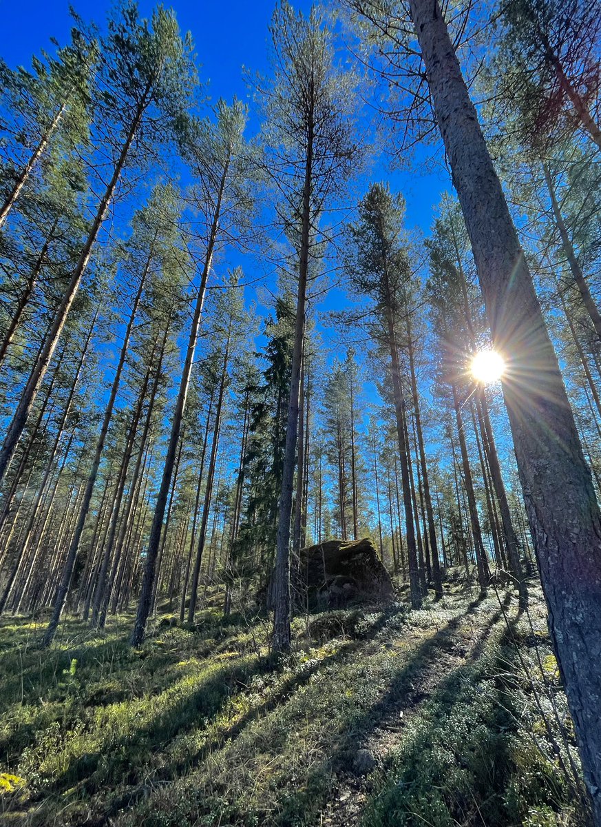 satunurmella's tweet image. Pitkäperjantai on myös lupaus uudesta toivosta.
🕊️🕊️🕊️
Good Friday is also a promise of new hope.

Nousiainen #Finland