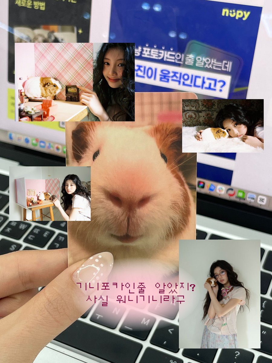 NUPY 누피 tweet media