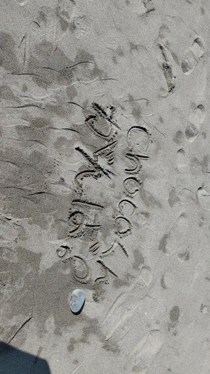 Choco🍫 tweet media