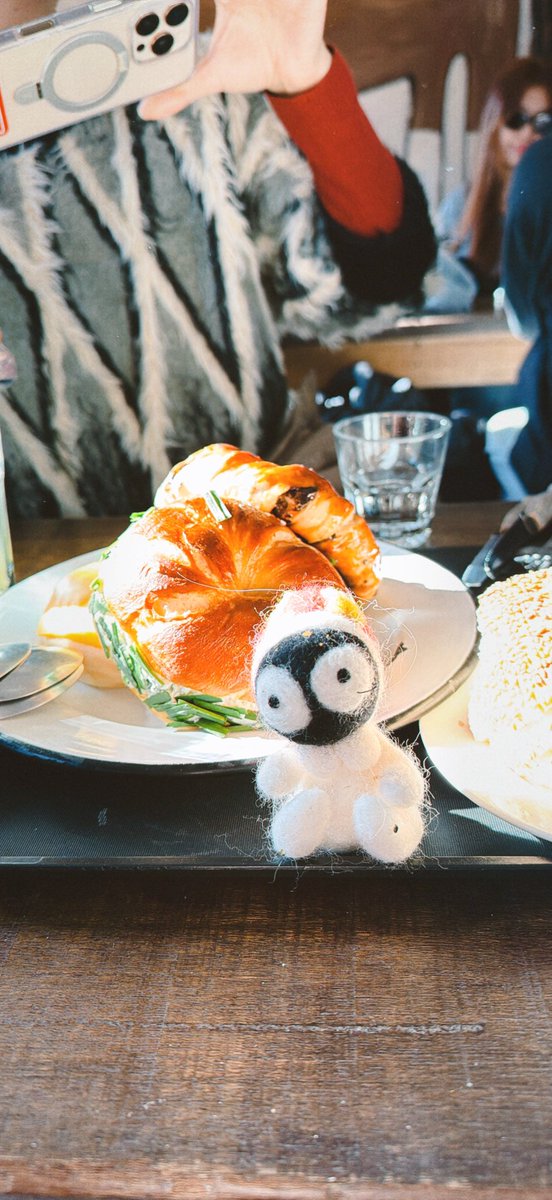 秀良子🍄『これからどうする?』②3/12頃発売! tweet media