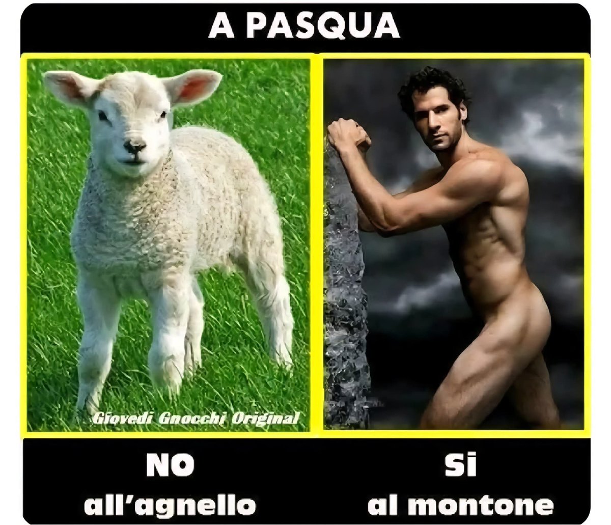 Annuccia Bertucci 💚💗 tweet media