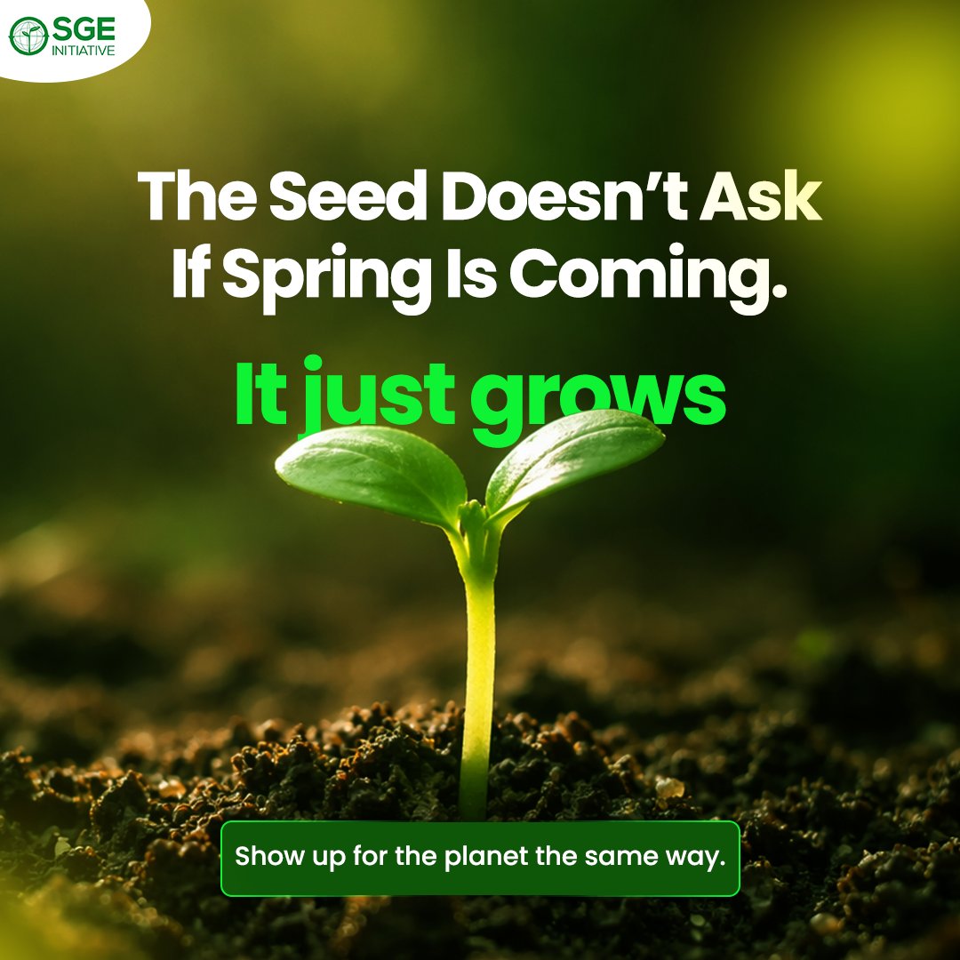 The seed doesn’t wait for perfect conditions, it just grows.
Show up for the planet the same way. 

Happy Friday