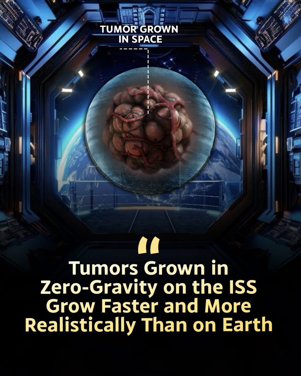 Next Science tweet media