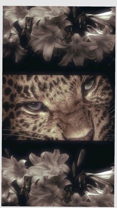 Tammy Carla Maria tweet media