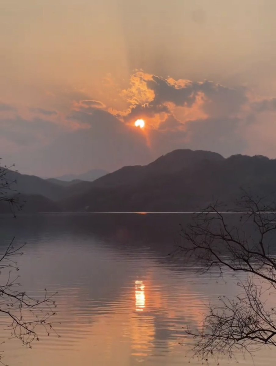 蔡蔡不菜🎀（互fo💯） tweet media