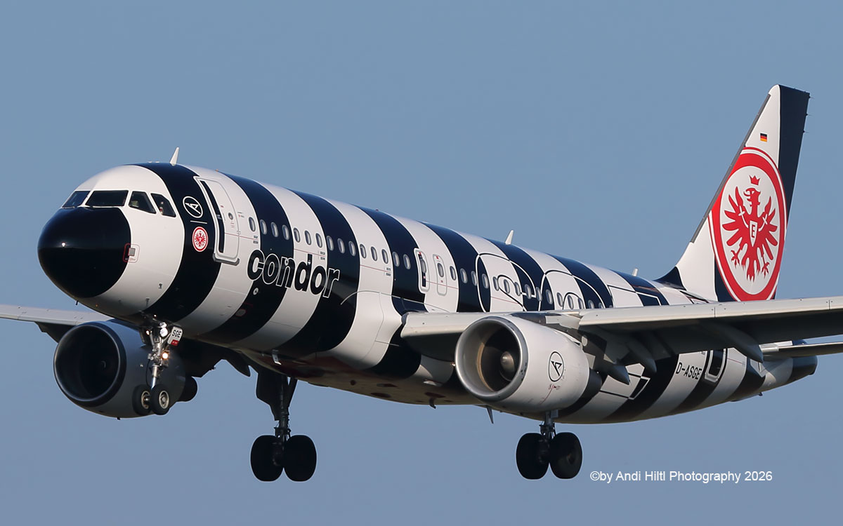 DC10lover's tweet image. Condor Airbus A320-214 D-ASGE / ZRH 02. April 2026
Painted in the *Eintracht Frankfurt" special c/s
@Condor @Airbus @zrh_airport
#avgeek #aviation #aviationlovers #plane #planespotting #aviationnews #aviationphotography #aircraft #airbus #zrh #a320 #condor #aviationdaily