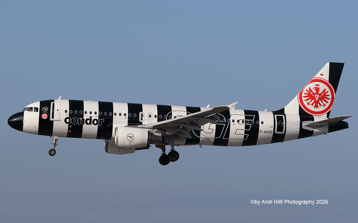 DC10lover's tweet image. Condor Airbus A320-214 D-ASGE / ZRH 02. April 2026
Painted in the *Eintracht Frankfurt" special c/s
@Condor @Airbus @zrh_airport
#avgeek #aviation #aviationlovers #plane #planespotting #aviationnews #aviationphotography #aircraft #airbus #zrh #a320 #condor #aviationdaily