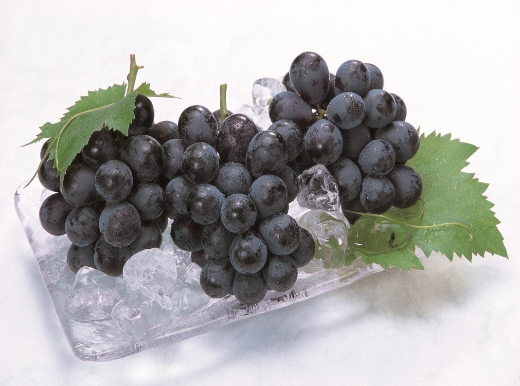 Grand Grape tweet media