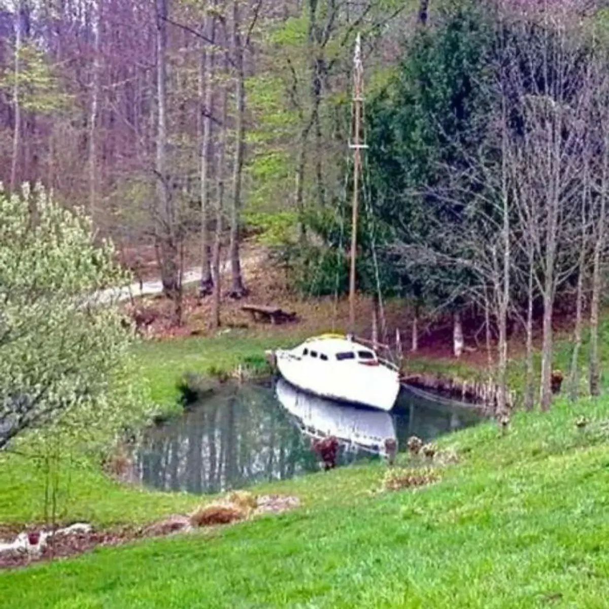 Nadine Touzeau Profiler Officiel tweet media