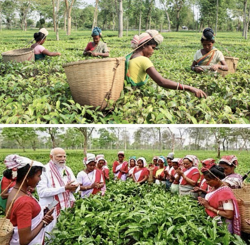 News Network 24x7 tweet media