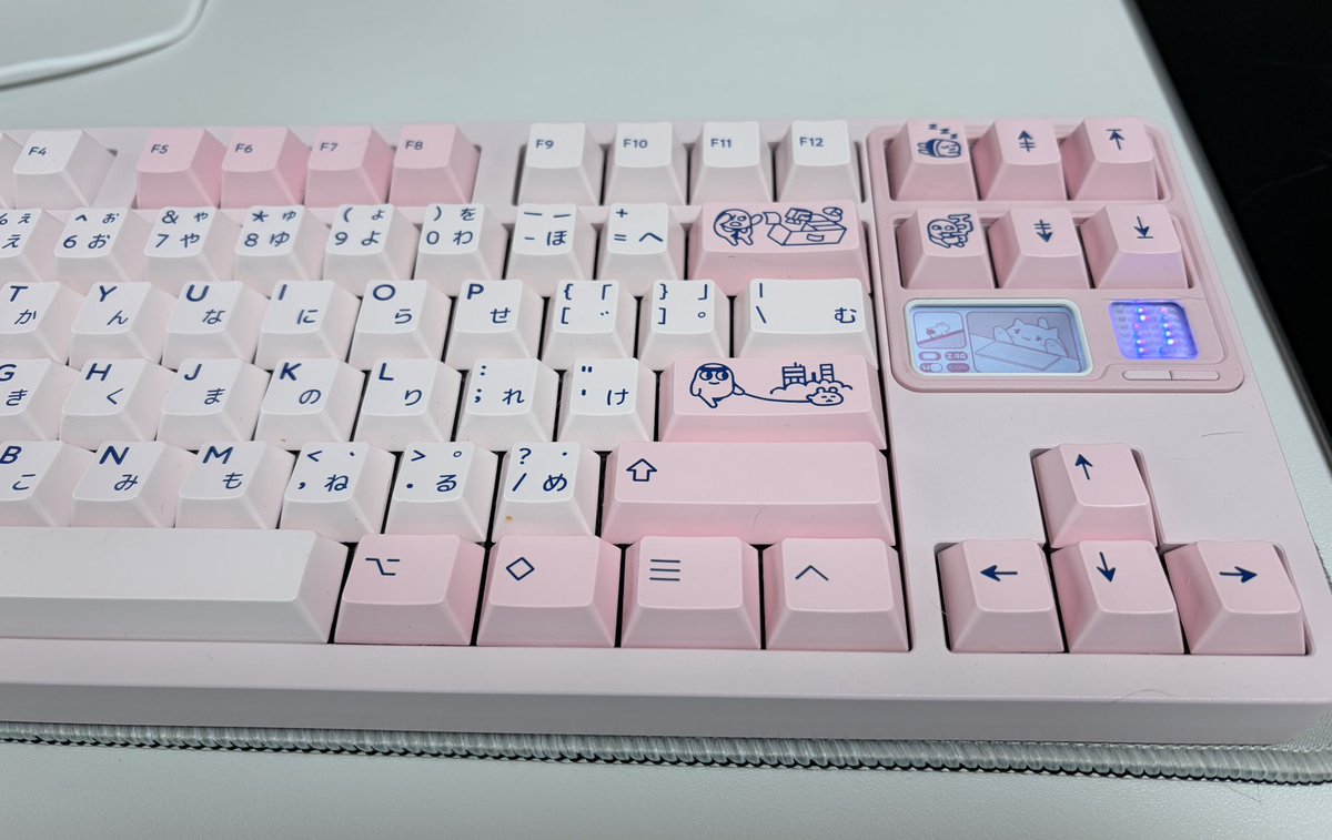 6시내고양 tweet media