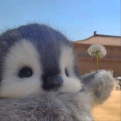 Wendy004 tweet media